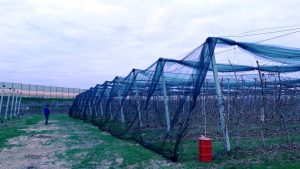 20170303_102432 (Large)